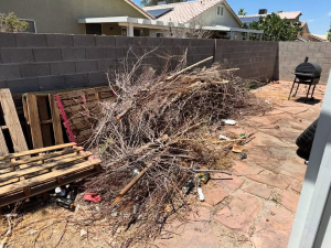 Desert Breeze Junk Removal of Las Vegas, NV