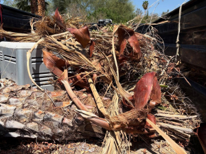 Desert Breeze Junk Removal of Las Vegas, NV