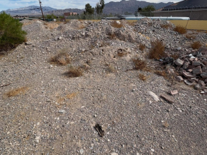 Desert Breeze Junk Removal of Las Vegas, NV