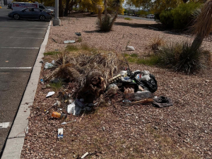 Desert Breeze Junk Removal of Las Vegas, NV